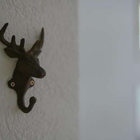 No 19 In The Black Forest ザンクト・ブラージエン エクステリア 写真