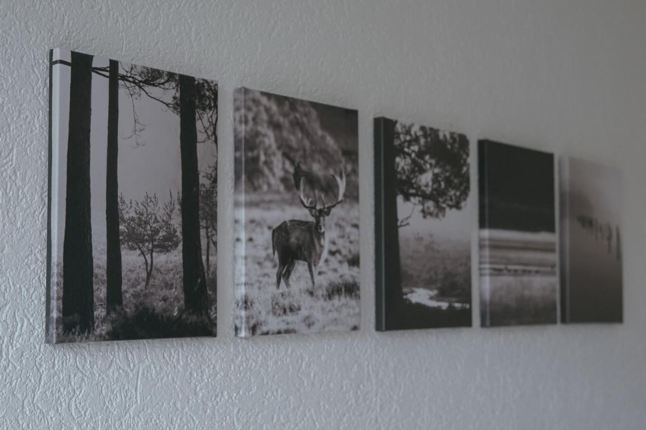 No 19 In The Black Forest ザンクト・ブラージエン エクステリア 写真
