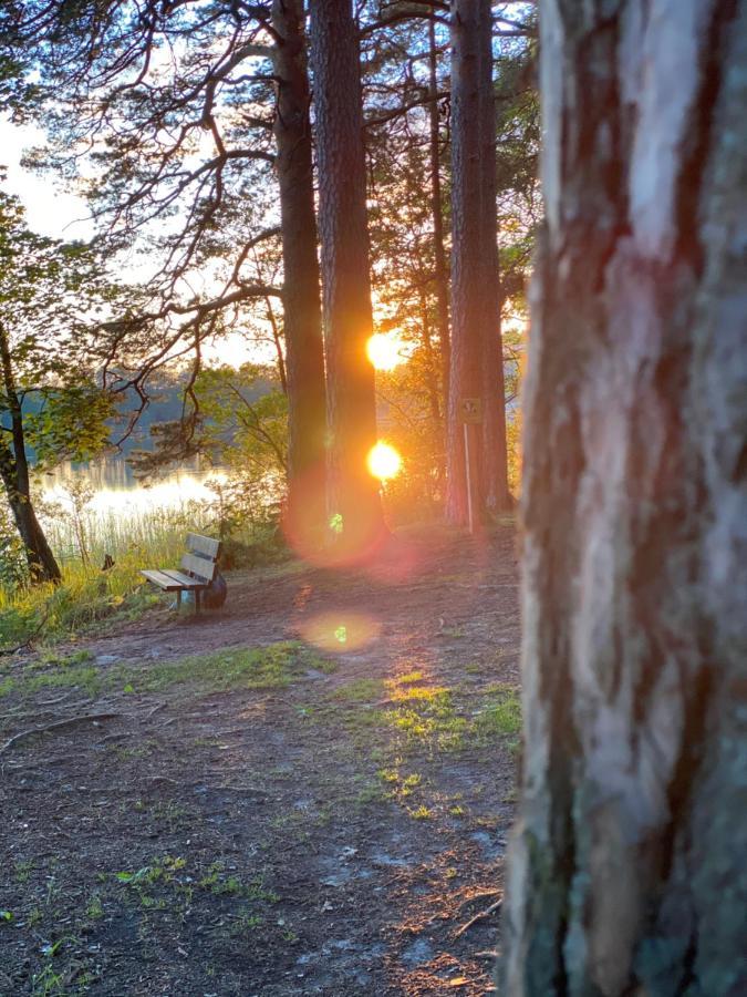 No 19 In The Black Forest ザンクト・ブラージエン エクステリア 写真