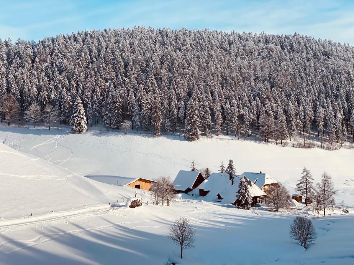 No 19 In The Black Forest ザンクト・ブラージエン エクステリア 写真